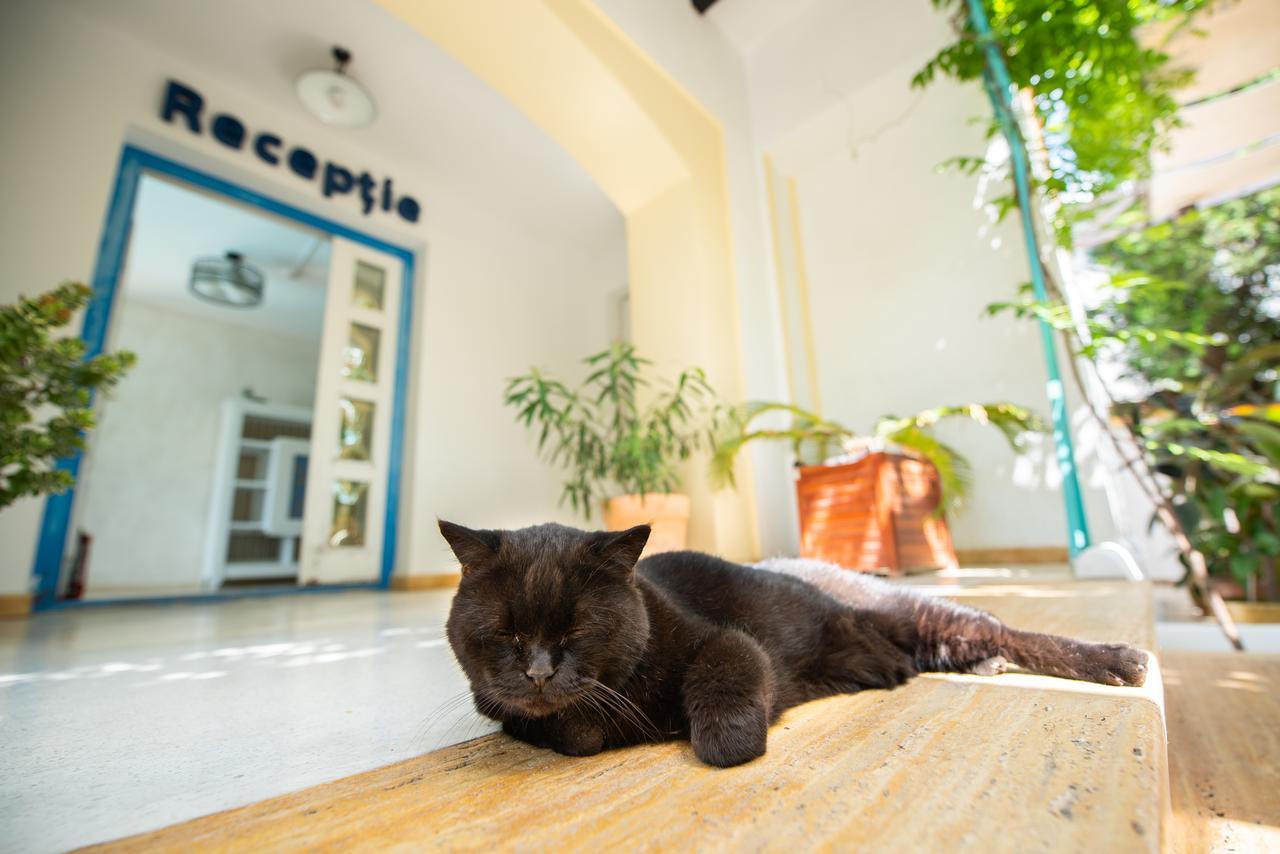 Villa Pontica นาโวดาริ ภายนอก รูปภาพ